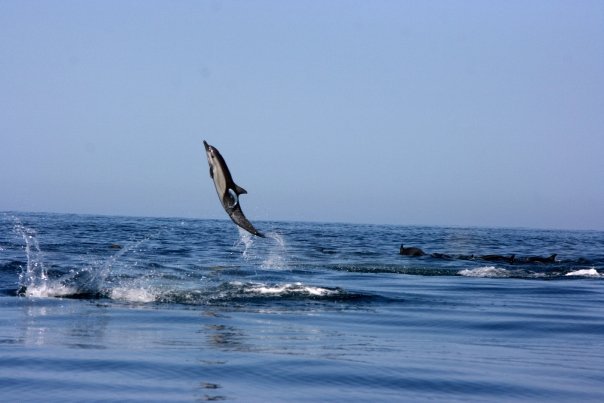 Images