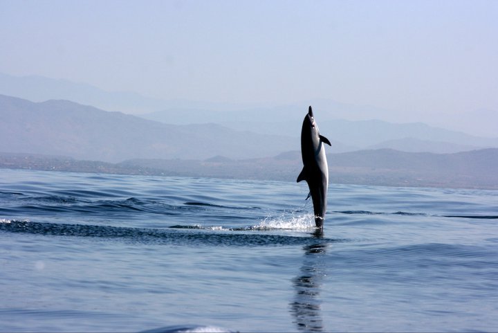 Images