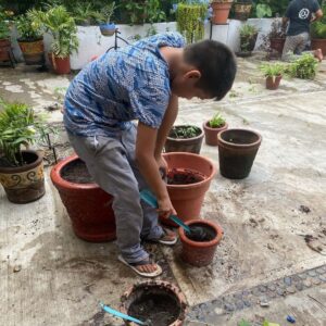 Casa Hogar Nueva Vida A.C. Guía Puerto Escondido, Huatulco, Mazunte, Zipolite, Zicatela, guiapuertoescondido.com