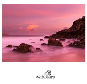Barro jaguar Guía Puerto Escondido, Huatulco, Mazunte, Zipolite, Zicatela, guiapuertoescondido.com