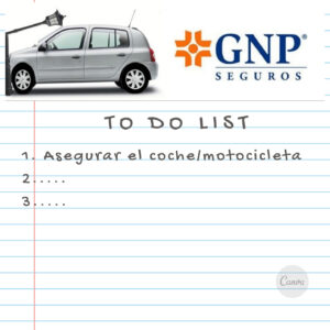 Seguros Inlakesh Gnp Guía Puerto Escondido, Huatulco, Mazunte, Zipolite, Zicatela, guiapuertoescondido.com