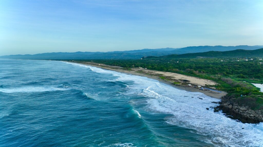 Salvemos Colorada - Guía puerto escondido