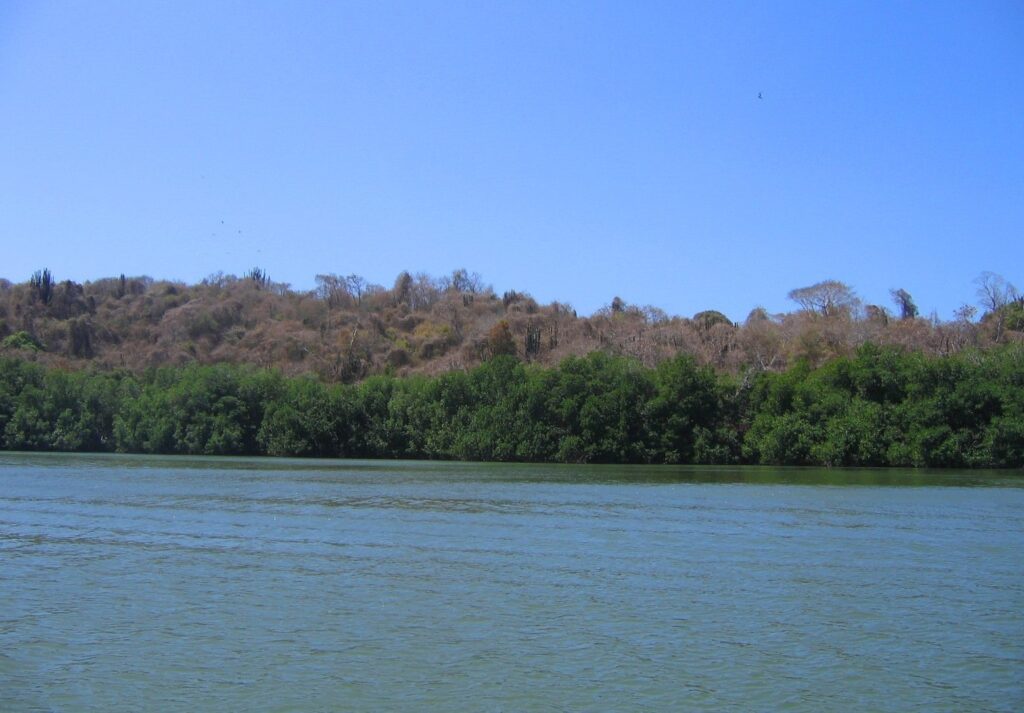 Chacahua y Laguna de Pastoría Puerto Escondido