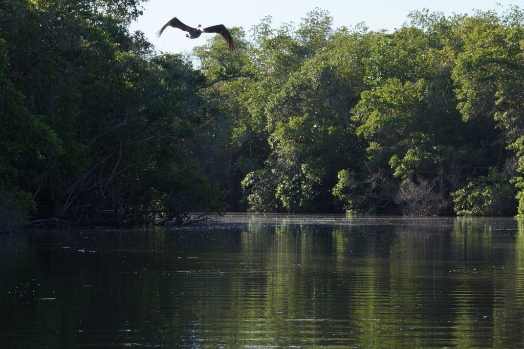 Laguna_de_Maniltepec